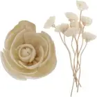 COHEALI Rattan Reed Diffuser Flower Reed Diffuser 9Pcs Rattan Reed Fragrance ...