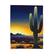 Velveteen Plush Blanket Desert Cactus Sunset Landscape Western Home Decor