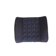 Car Back Lumbar Posture Support Electrical Massage Cushion Pillow 12V