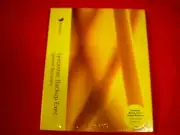 SYMANTEC BACKUP DATA RECOVERY SOFTWARE PC EXEC WINDOWS SMALL BUSINESS SERVER V7