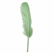 Goose Pointer Feathers 10 grams - Soft Green