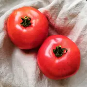 Tomato - Romano Burghanese seeds