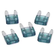 RoadPro RPMINI30 30 Amp Mini Fuse, (Pack of 5)