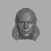 Halsin Baldur's Gate 3 Wood Elf Arch Druid custom head for action figures