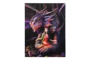 Anne Stokes Spirit Dragon Canvas Plaque (Multicoloured) (25cm x 19cm)