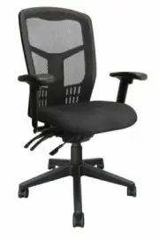 Ergonomic Tran Mesh High Back Office Typist Task Adjustable Computer Chair