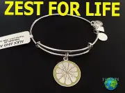 Alex and Ani ZEST FOR LIFE Shiny Silver Charm Bangle New W/Tag,Card & Box
