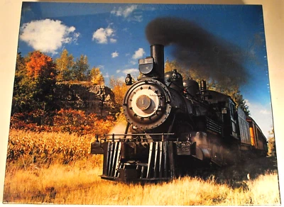 Mid-Continent Railway Museum WESTERN COAL & COKE #1 500+pc Jigsaw Puzzle SEALED