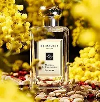 在飛比找Yahoo!奇摩拍賣優惠-Jo Malone 含羞草與小荳蔻 Mimosa&Carda