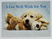 Get Well Card “Sending Happy And Healing Thoughts Your Way” Dog Teddy Bear P3