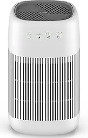 Afloia Air Dehumidifier with/Air Purifier Function 1000ml True HEPA Filter,Ultra-quiet Portable for Small Rooms, Bathroom, Bedroom, Wardrobe Room,Crawl Space, Basement -Model.Q10 2 in 1Function