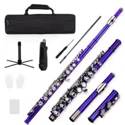 Closed Hole C Flute 16 Keys Cupronickel Nickel-plated Wind Instrument W3A0