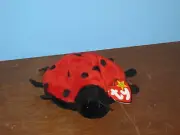 Beanie Babies Lucky the Lady BugNew with Tag