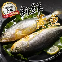 在飛比找鮮拾優惠-【帥哥魚海鮮】SGS認證 富貴鮮嫩黃魚2尾組(單隻殺清前40