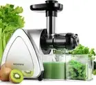 Portable Hand Juicer, Low Noise Electric Cold Press Juicer with Reverse Funct...