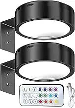 Lights for Pictures - LED USB Rechargeable Art Lamp | Magnetic Remote Control Picture Light with 3 Color for Living Room Hallway Studio Kitchen Shop Restaurant