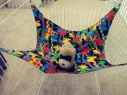 Ferret Double-Sided Hammock - Colorful Giraffes 14" x 15"