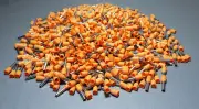 1000Pcs E4012 12AWG 4.0mm² ORANGE Insulated Ferrule Bootlace Terminal Crimp