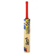 Beast Pro 9.0 Junior's Cricket Bat