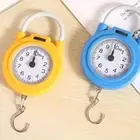 Lightweight Spring Scale Portable Kitchen Scale Iron Hook Scale School
