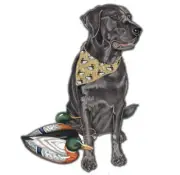 Labrador Black Lab Magnet Wooden