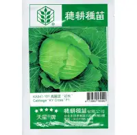 在飛比找Yahoo!奇摩拍賣優惠-種子王國 天星牌 高麗菜 (初秋)甘藍 F1 一代交配種 4
