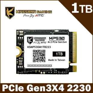 AITC艾格 KINGSMAN MP530 1TB M.2 2230 PCIe Gen3x4 SSD 固態硬碟
