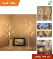 Prelit 2-Pack Lighted Birch Trees - USB & Battery Options with Warm White Lights