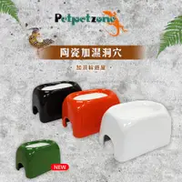 在飛比找蝦皮商城優惠-【加購品 勿下單】Petpetzone PPZ 釉彩陶瓷守宮