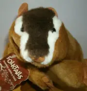 Folkmanis Folk Squirrel Chipmonk Plush Full Body Hand Puppet New