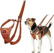 HALTI No Pull Anti-Pull Harness - Prevents Your Dog from Pulling on The Lead, Padded Chest and Leg Strap, Reflective Strap Material, Easy Adjustment and Use (S, Dark Orange)