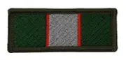 TRF Intelligence Corps British Army Arm Patch Tactical Recognition Flash