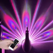 Night Light Home Decor Remote Control Peacock Projection Lamp LED wall lamp