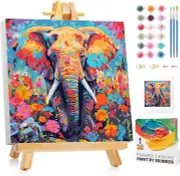 Framed Paint by Numbers Kit for Adults Beginners & Kids Ages 8-12 LBOPF1P02