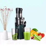 Fruit Juicer Extractor Vegetable Processor Cold Press Slow Juicer Wide Mouth