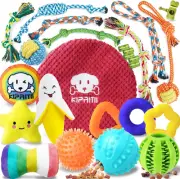 Puppy Toys for Dog Teething-25 Pack Assorted Puppy Chew Toys for Boredom with Ro