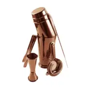 5 Piece Cocktail Mixer Shaker Cup Juicer Strainer Bartender Bar Tools