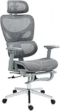Ergolux EZ11 Ergonomic Office Chair with Footrest (Grey) - ELEZ11ELFGA