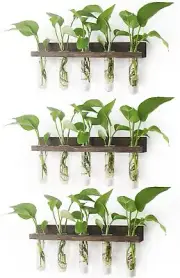 Plant Propagation Station Tubes, 3 Tiered Wall Hanging Mini Glass Test Tubes