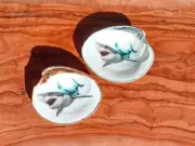 White Shark Decoupage Clam Shell Ring Dish with Silver or Gold Trim - Fun Gift