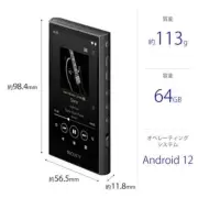 SONY NW-A307 Black 64GB Hi-Res A300 Series Walkman Audio Player NEW JAPAN