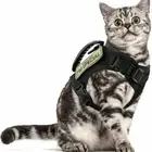 Proof Small Dog For Large Cat Dog accessories Pet Chest Strap Cat Harness