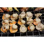 【中秋烤肉組合】小帆立貝(肉)/約300G(分享包)~教您做甜椒三色炒鮮貝和芥菜鮮