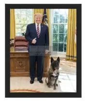 PRESIDENT DONALD TRUMP WITH "CONAN" THE MILITARY WORKING DOG 8X10 FRAMED PHOTO