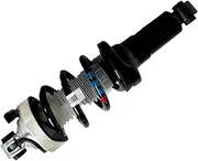 QYCLY 420512019S, 420512019AM 1Pcs Air Suspension Front Shock Absorbers or Rear Shock Absorbers Compatible for Audi R8 2007-2015, Rear Struts, Front Struts(Front right)