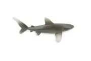 Oceanic Whitetip Shark, Realistic, Figure, Model, Toy Gift, 3" CH658 BB169
