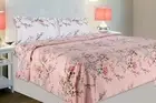 100% Cotton Pink Double Bedsheet with 2 Pillow Covers, 186 Thread Count