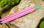 8 SECTION TRAVEL FLY ROD BLANK - 6'6" 2/3WT 8PC PINK S2 FIBERGLASS - FULL FLEX