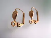 2 pairs Gold plated Leverback earrings setting with Shell design / open rings