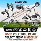 Baumr-AG Pole Chainsaw Hedge Trimmer Brush Cutter Whipper Snipper Multi Tool